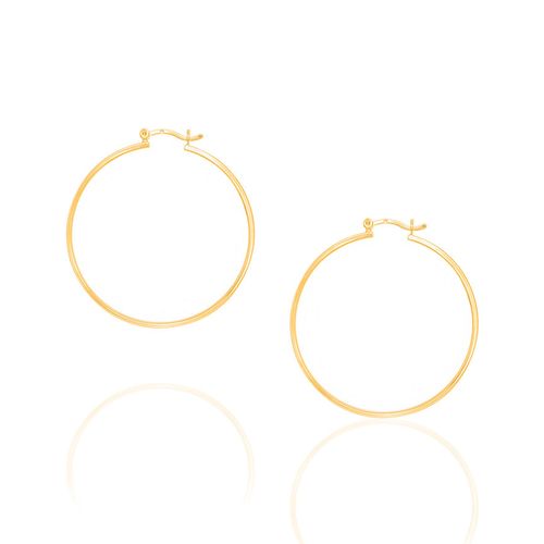 BRINCO BANHADO A OURO 18K FORMATO ARGOLA