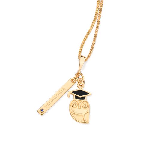 PINGENTE PROFISSÃO PEDAGOGIA BANHADO A OURO 18K COM ZIRCÔNIA E RESINA