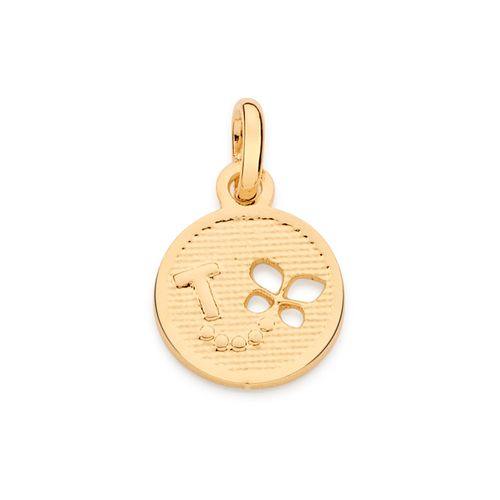 PINGENTE VOO DA BORBOLETA COM LETRA BANHADO A OURO 18K -LETRA T