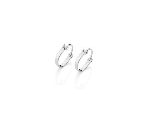 BRINCO BANHADO A RHODIUM ARGOLA