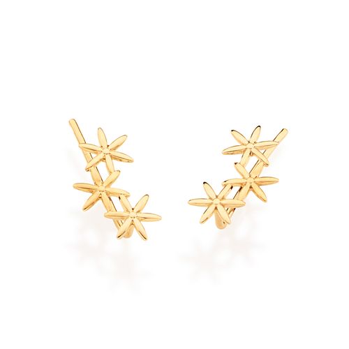 BRINCO BANHADO A OURO 18K