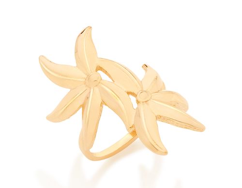 Anéis  JOIA BANHADA OURO 18K