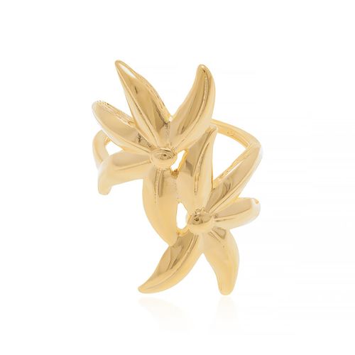 Anéis  JOIA BANHADA OURO 18K